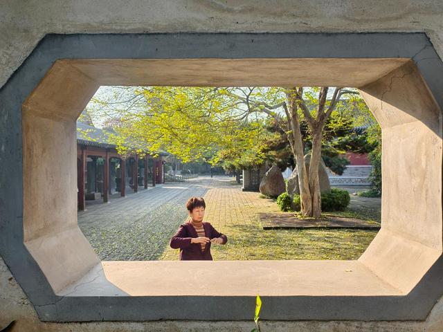 图集丨金秋岱庙美出圈 千年古银杏 “披金” 引客打卡