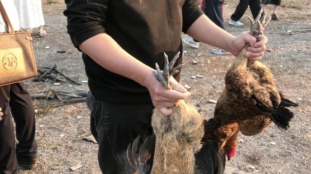 禾风稻田农场12月13日、14日盛大开启！