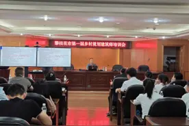 四川攀枝花首批乡村规划建筑师上岗 如何当好乡村规划的“桥梁”和“管家”？图片