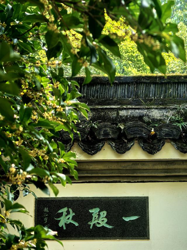 晚潮｜桂语幽境