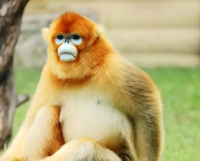 淡季优惠来了!这些秦岭景区向你发出冬日邀约