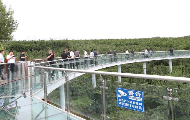 筑路连景融文兴产 我市“美丽公路”激活全域旅游新格局
