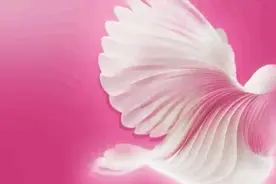 中国上海国际艺术节丨10月24日线上+线下同步开售优惠票图片