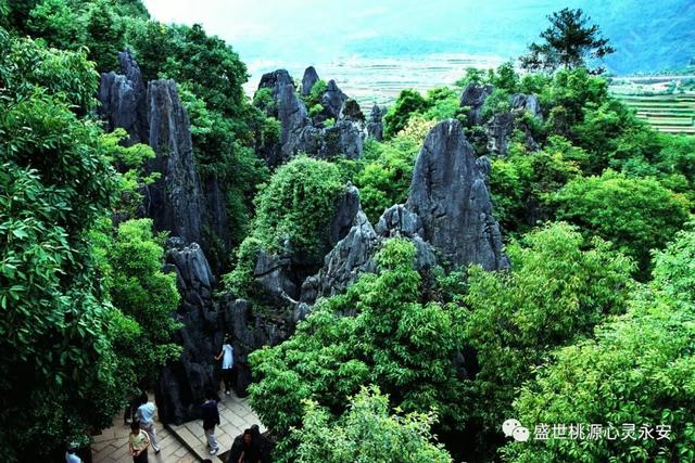 周末去哪儿？游世遗、逛古村！三明银发专属景区优惠，凭身份证解锁～