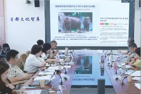 “看虐猫视频或导致未成年人情感麻木和暴力行为增加”图片