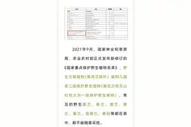 【以案说法】进山带走野生兰草？下场是……图片