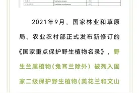 【以案说法】进山带走野生兰草？下场是……图片