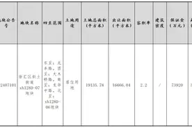 上海徐汇一地块楼板价超13万元！绿城拍下国内单价最贵地王图片