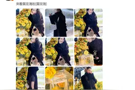 刘亦菲真的去看黄玫瑰了！哈尔滨文旅：想带姐姐去冰雪大世界图片