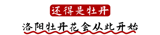神都风物 | 你有多久没坐过摩天轮啦？