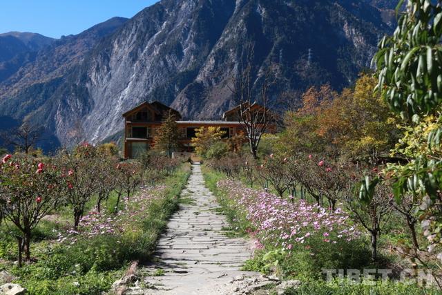 秘境色龙，川西桃源静待花开