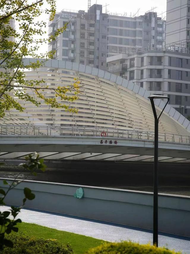 最佳季节！上海市中心也有人少景美骑行线