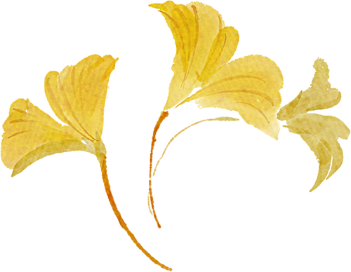 秋日限定“双骄”：从赏到玩转的完整攻略！