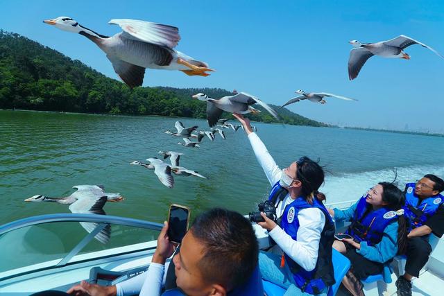 春赏樱、夏看荷、秋品桂、冬观梅，世界名湖人民乐园四季皆成诗