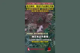 高校回应保洁将流浪狗从3楼扔下摔死:行为过激已开除图片