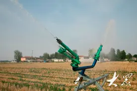 抗旱保苗，300亩玉米两天全部喷淋一遍图片