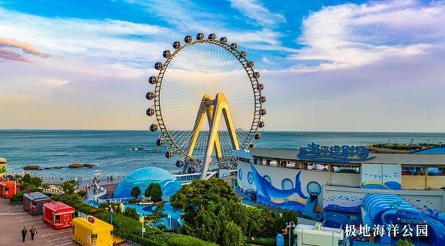 冬趣崂山 | 十大攻略之“山海鸥遇”，一日漫游解锁崂山冬日浪漫