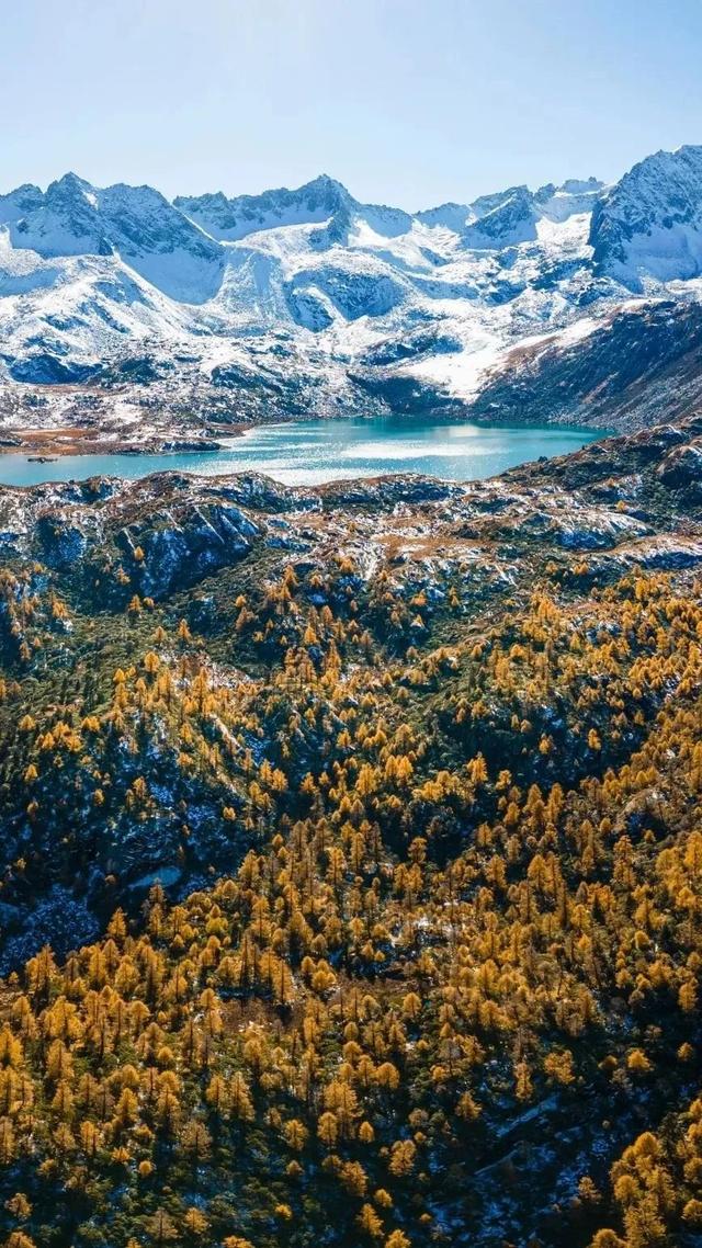 丹道环线：吸氧、洗眼、避世，一键三连！