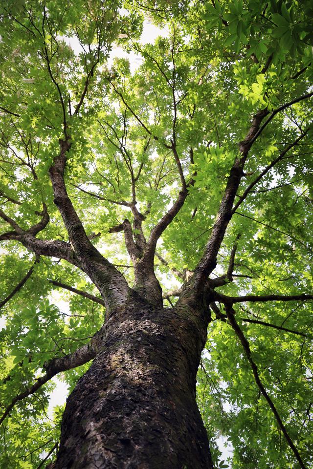 灵隐寺免门票后，我建议你去看看这些地方