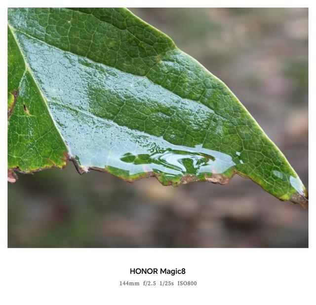 荣耀Magic8评测：体验恰到好处的标准版旗舰