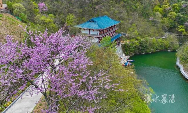 外交部发言人推介！尧治河村壮丽蝶变：从“靠山吃山”到“养山富山”的“两山”实践标杆
