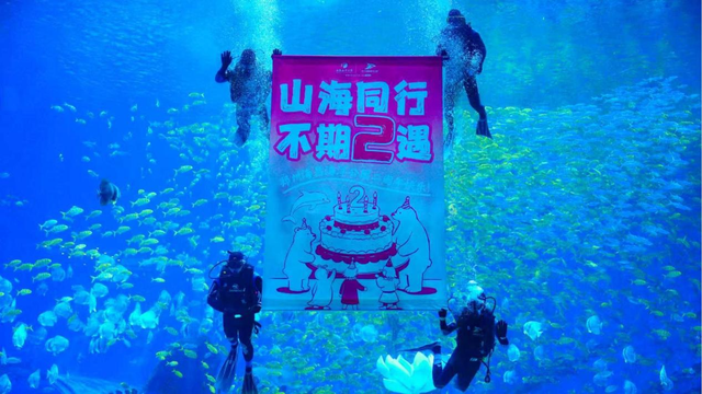郑州海昌海洋公园迎两周年 开启“国潮海洋”新篇章