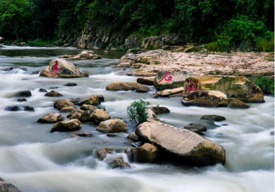 跟着赛事游四会，景区玩法全解锁！