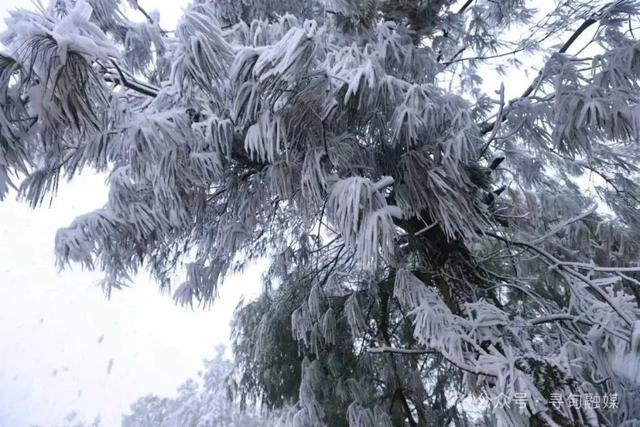 一眼沦陷!寻甸绝美雾凇胜景