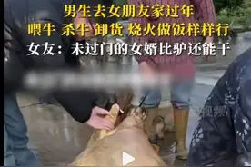 未过门的女婿比谁都能干，网友：今年不努力，明年还叫姨图片