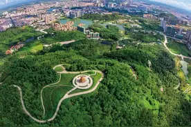 夏天，总要去阳江赶一次海吧图片