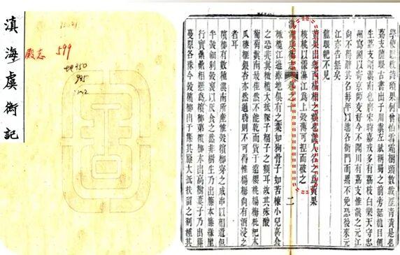 漾濞是“世界核桃起源地”！有五个维度可为证……