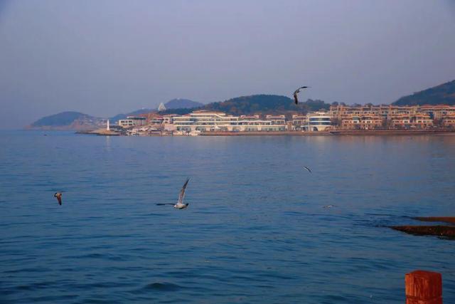 真正的浪漫，是冬天去威海看海