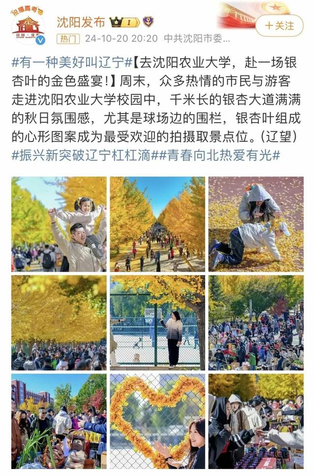 沈阳的秋天是彩色的！走啊，拍照去→