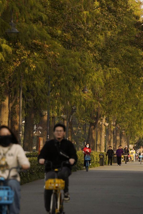 活力满满的东湖绿道