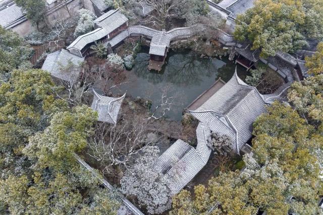 定格浪漫！吴江初雪美景图鉴！