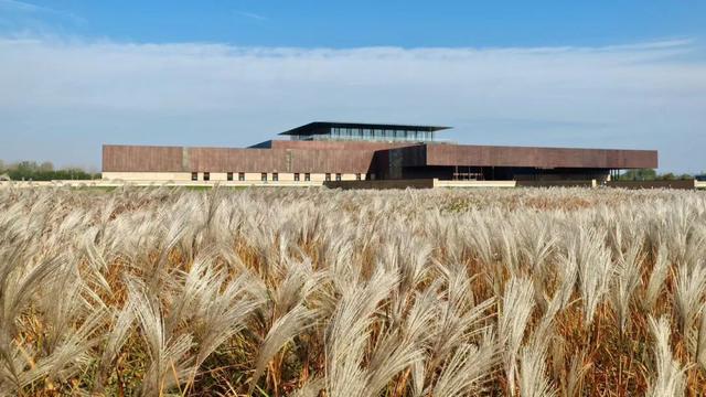 快出门！这些全是洛阳冬日限定！