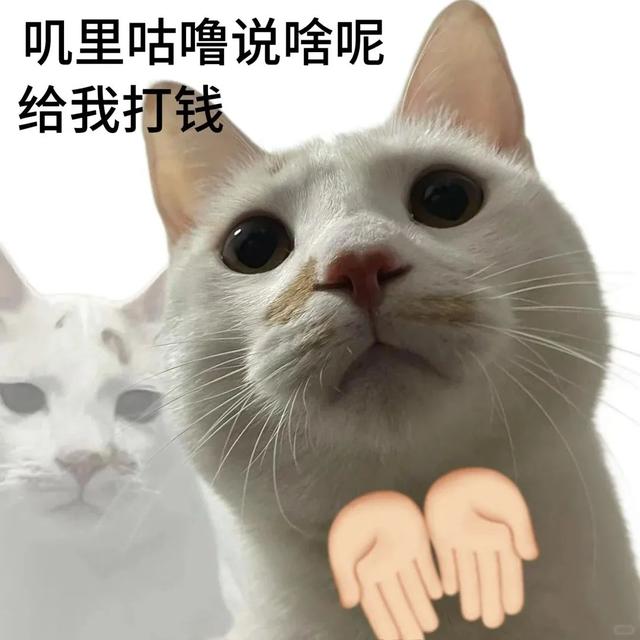限时礼包！发福利啦！