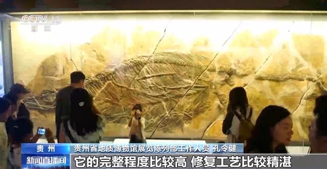 暑期“文博热”各地博物馆推出多元体验新玩法