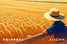 今日芒种图片