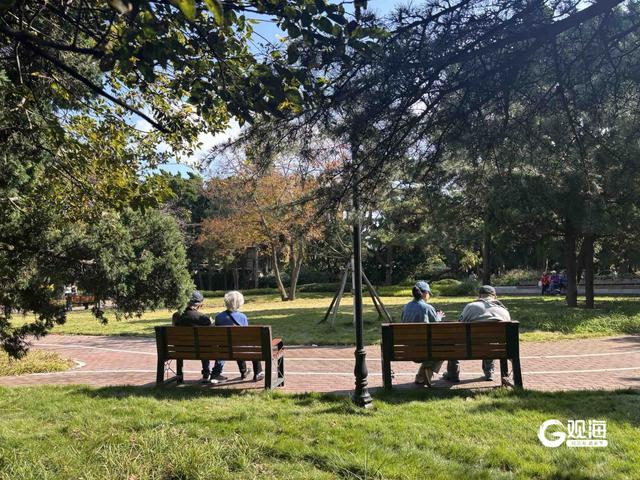 秋到八大关，氛围感拉满