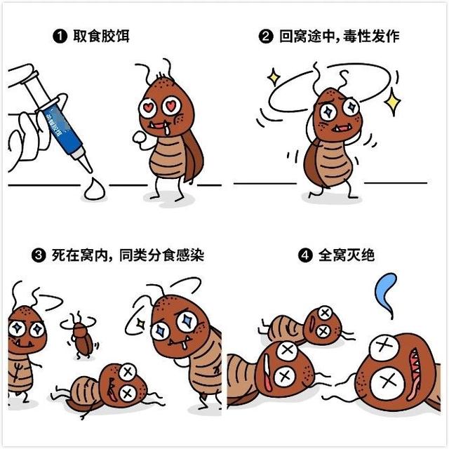 头皮发麻！蟑螂会咬人？专家说……