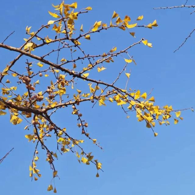 曲沃的冬天不可辜负