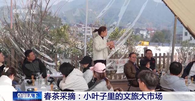 视频丨踏青赏花、采春茶、吃春菜 各地特色活动邀你尽享春日惬意