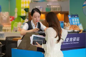 已覆盖国内数百条航线，宠物进客舱需穿纸尿裤坐经济舱末排图片