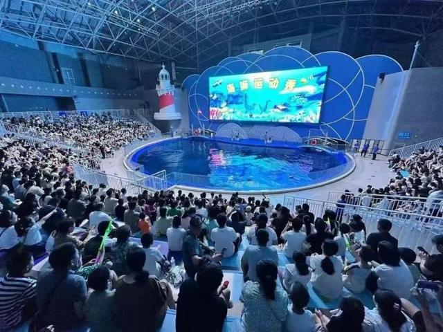 秋雨不掩文旅热，滨州假期别样“红”！
