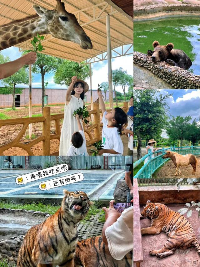 无限暖意！广西发布6条“康养旅居 冬游广西”系列精品线路