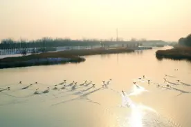 逐“绿”前行，徐州丰县书写“生态答卷”图片