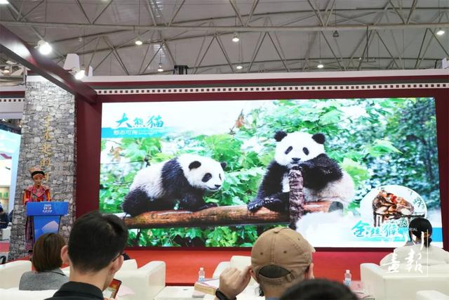 以熊猫为媒！“画卷天府·熊猫文化推介会”萌动2025天府书展