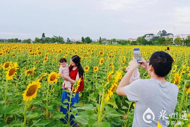 巨出片！趁现在，来泉州追一场秋……