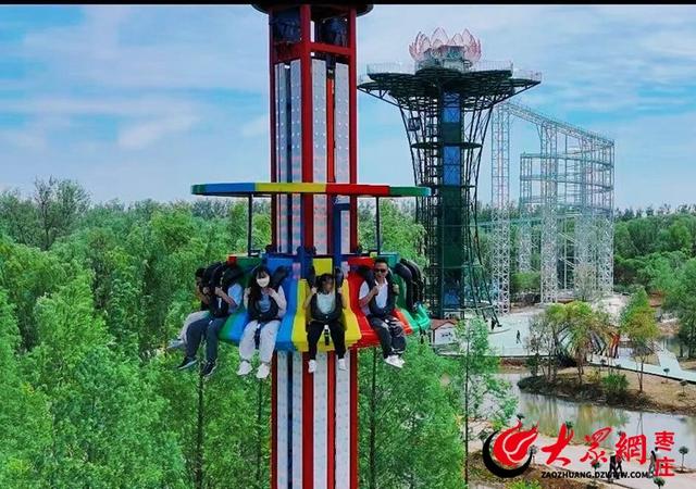 滕州微山湖红荷湿地献礼教师节：免门票+免费体验，五市教师速来！